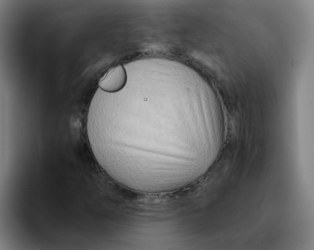 X0000094201254200711161801