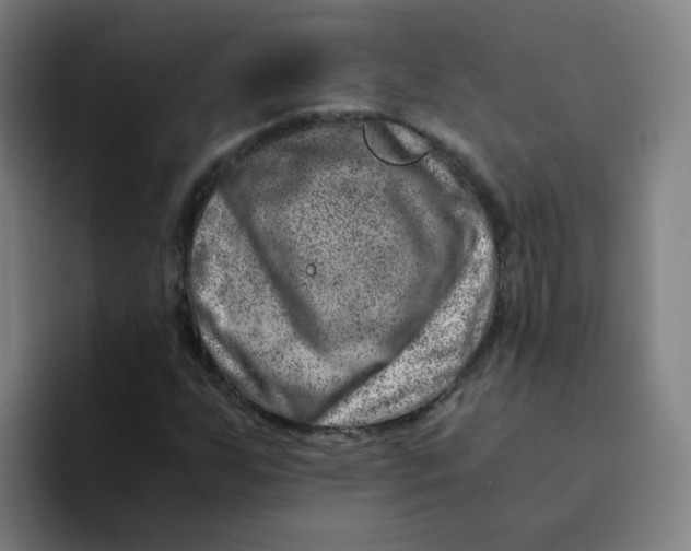 X0000094201255200711161801