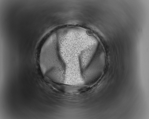 X0000094201256200711161801