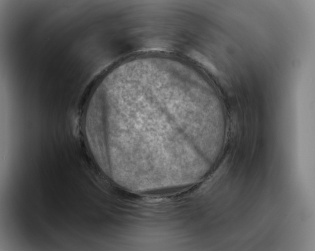 X0000094201258200711161801