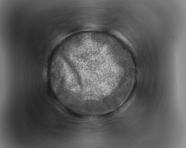 X0000094201259200711161801