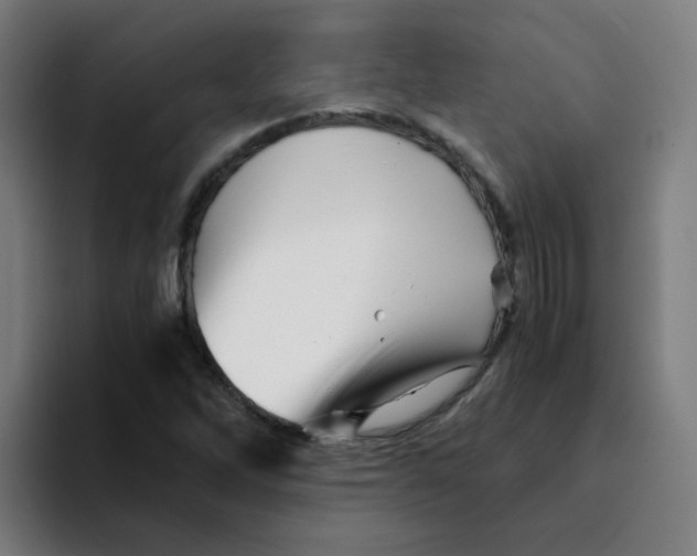 X0000094201262200711161801