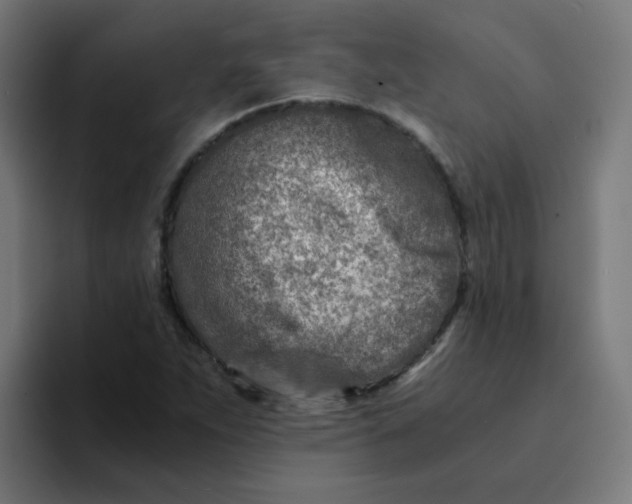 X0000094201263200711161801