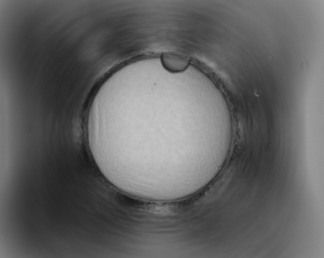 X0000094201266200711161801