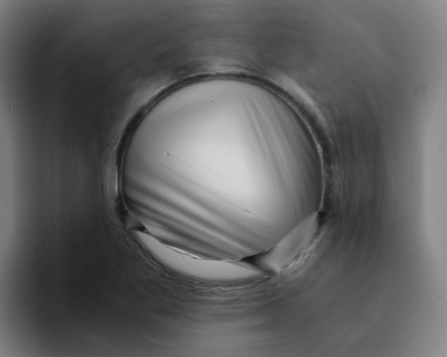 X0000094201269200711161801