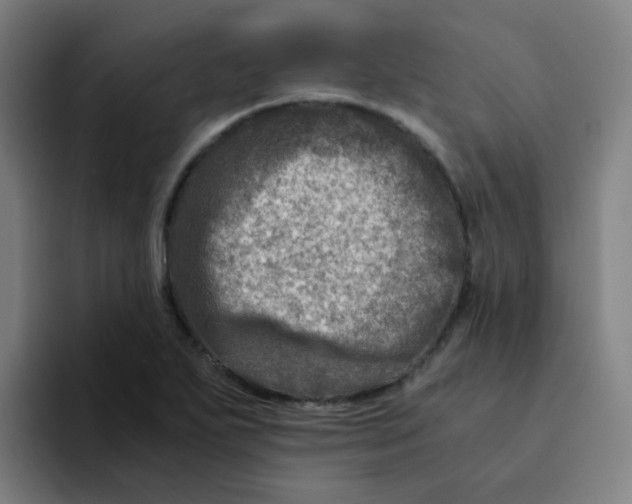 X0000094201271200711161801