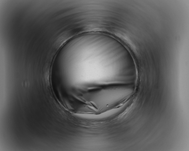 X0000094201273200711161801