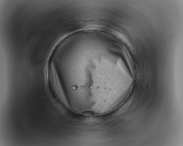 X0000094201275200711161801