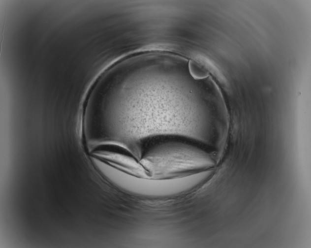 X0000094201276200711161801