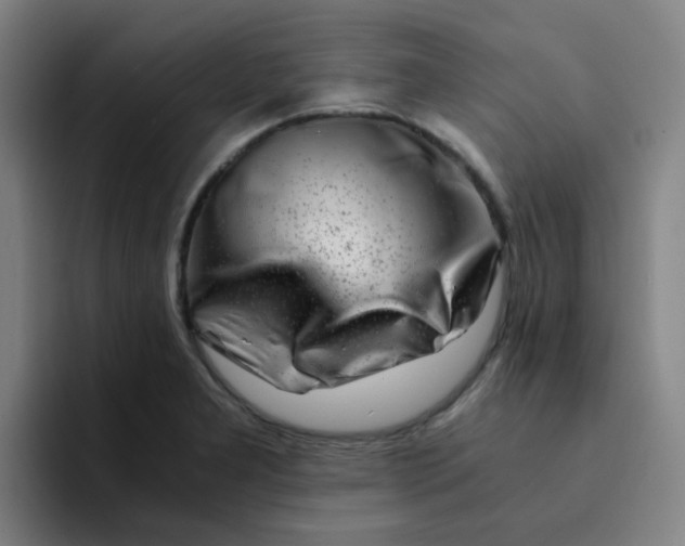 X0000094201277200711161801