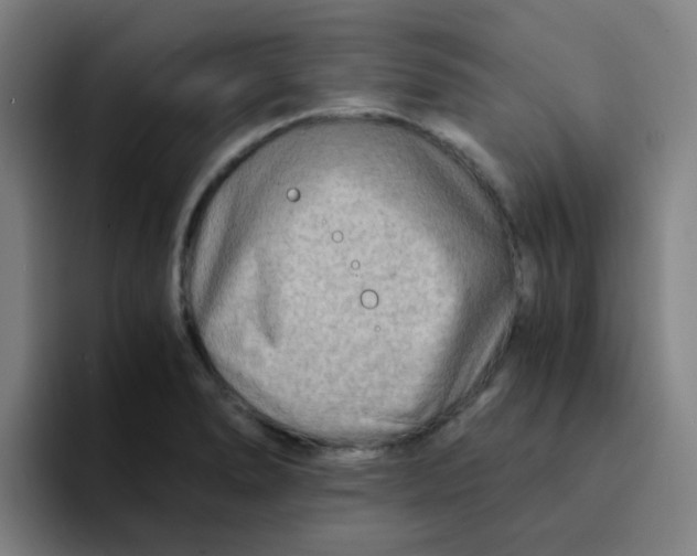 X0000094201278200711161801