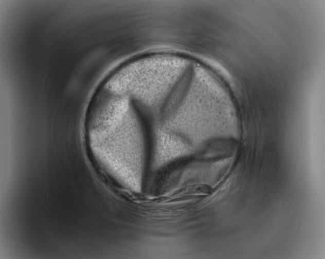 X0000094201279200711161801