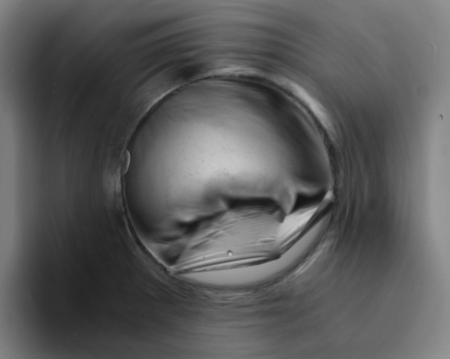 X0000094201281200711161801