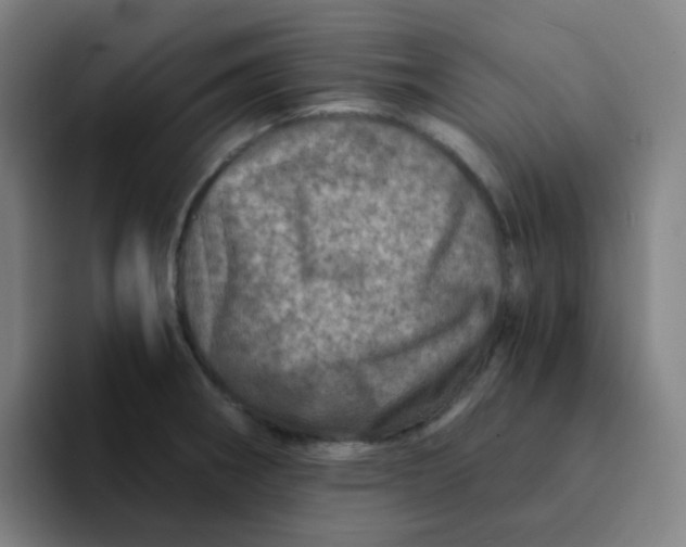 X0000094201282200711161801