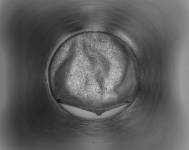 X0000094201283200711161801