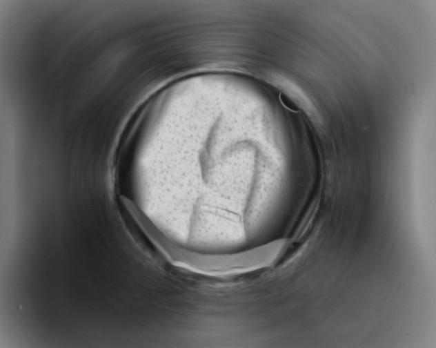 X0000094201284200711161801