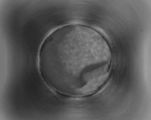 X0000094201286200711161801