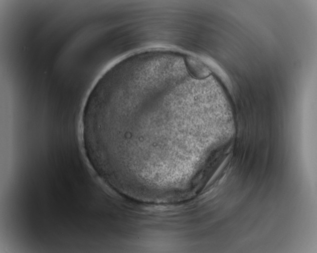 X0000094201287200711161801