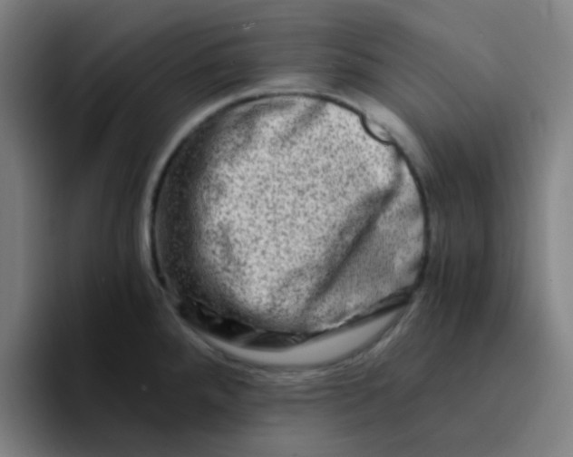 X0000094201288200711161801