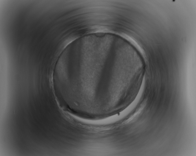 X0000094201289200711161801