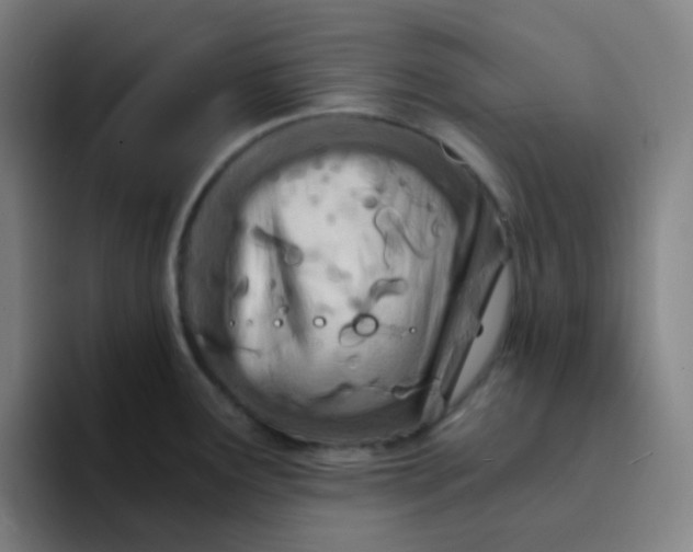 X0000094201291200711161801