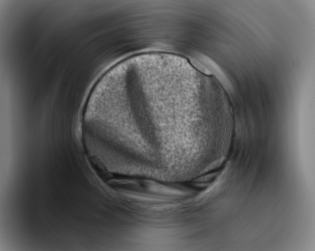 X0000094201292200711161801