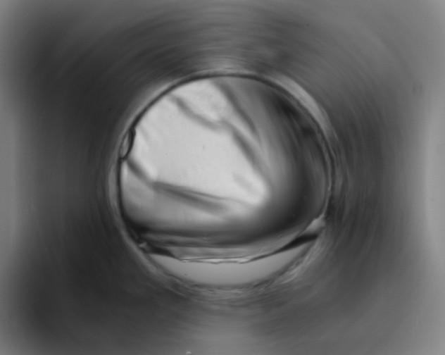 X0000094201293200711161801