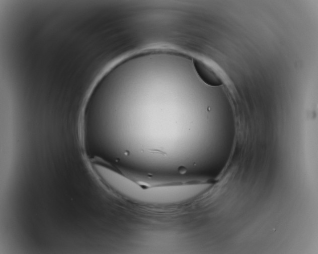 X0000094201295200711161801