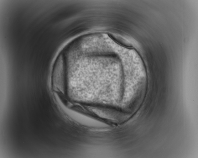 X0000094201296200711161801