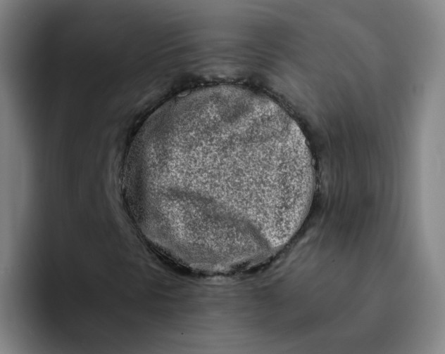 X0000094201297200711161800