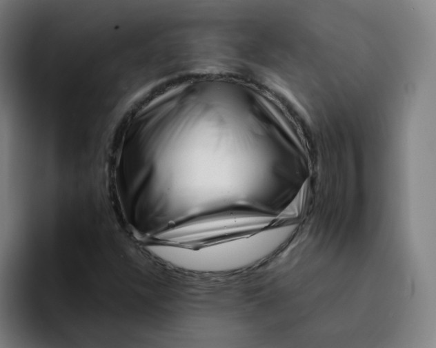 X0000094201304200711161800