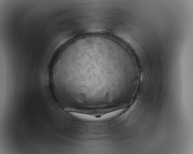 X0000094201306200711161800