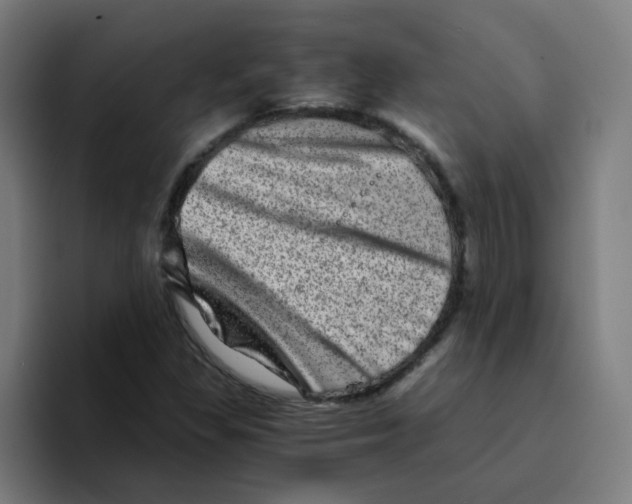 X0000094201309200711161800