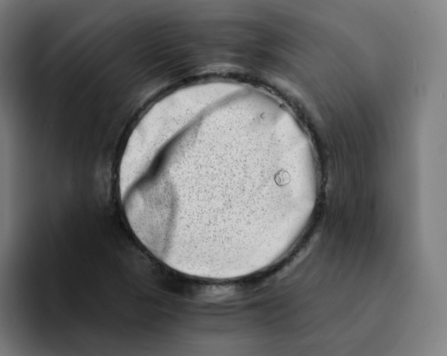 X0000094201313200711161800