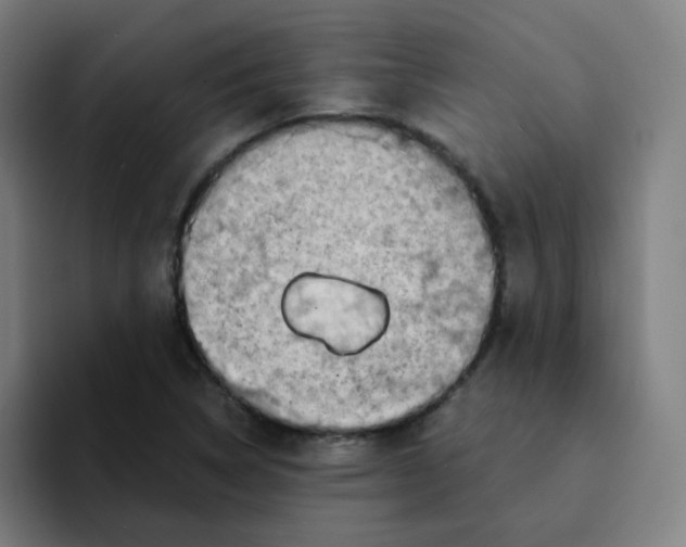 X0000094201314200711161800