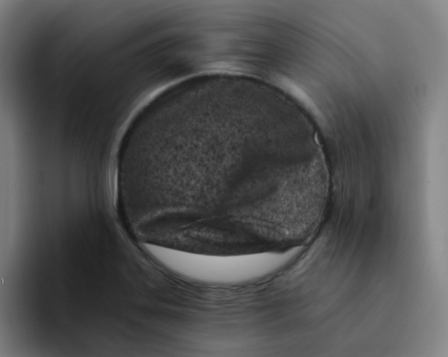 X0000094201323200711161800