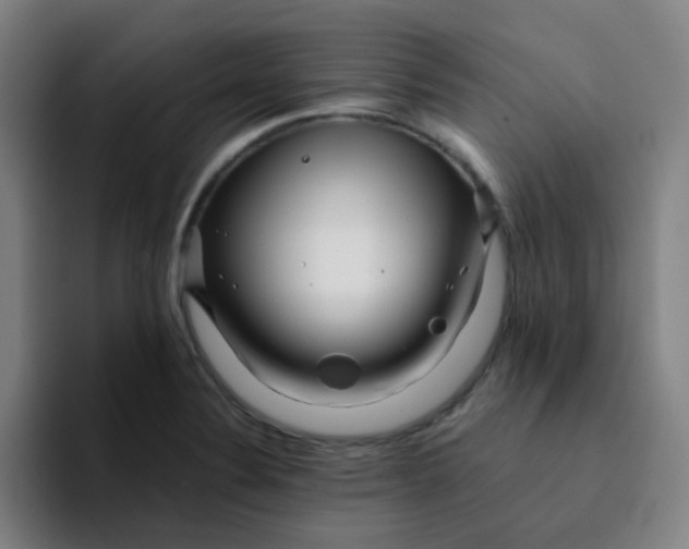 X0000094201324200711161800