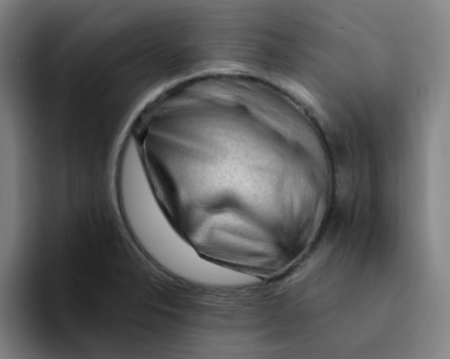 X0000094201326200711161800