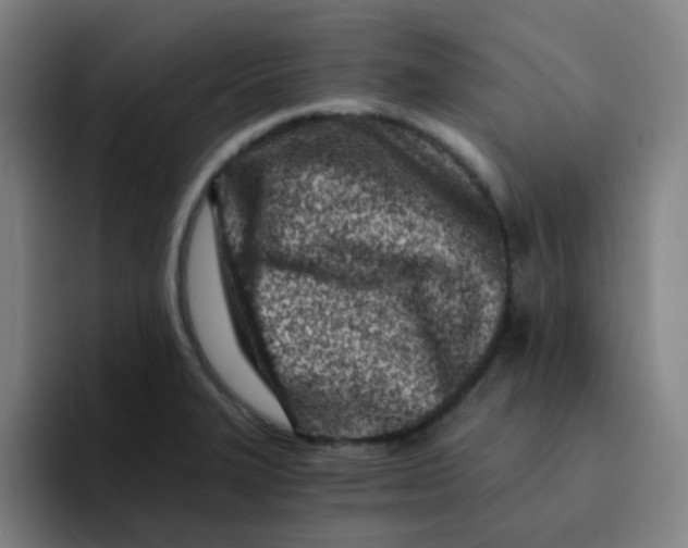 X0000094201327200711161800