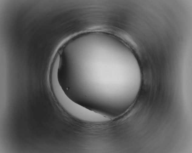 X0000094201328200711161800