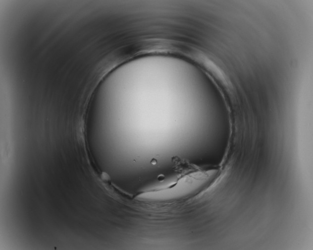 X0000094201329200711161800