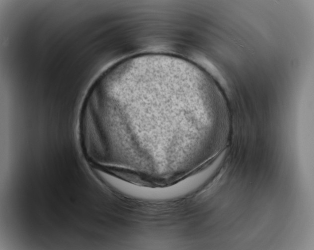 X0000094201331200711161800