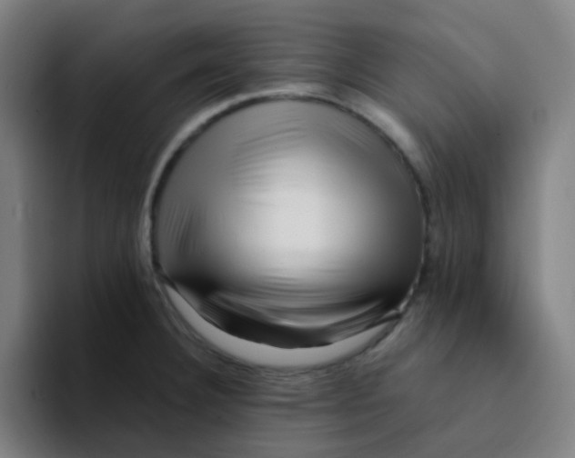 X0000094201332200711161800