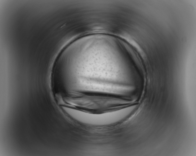 X0000094201333200711161800