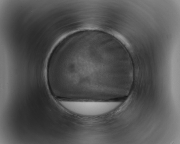 X0000094201334200711161800