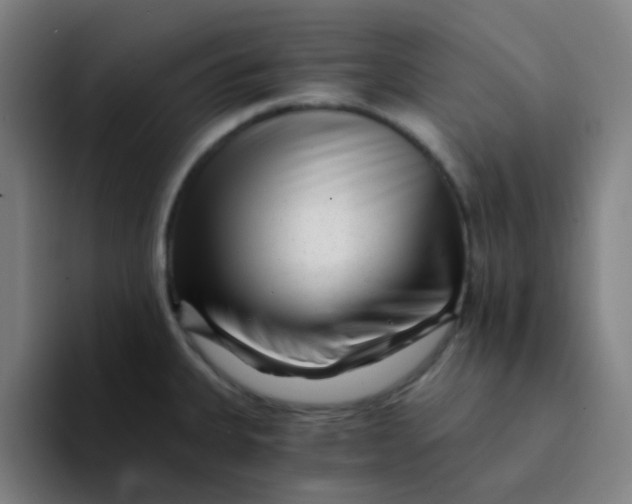 X0000094201335200711161800