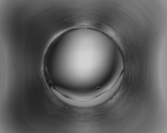 X0000094201336200711161800