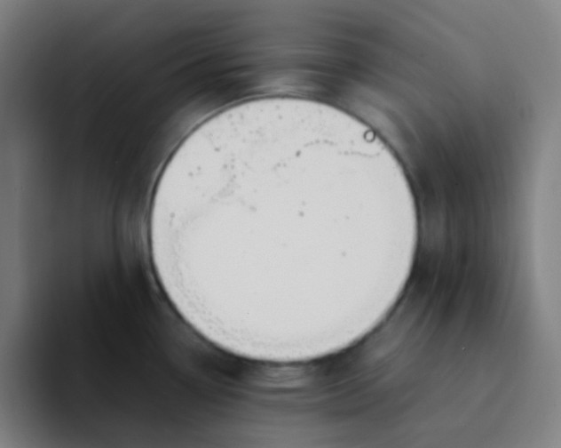 X0000094201338200711161800