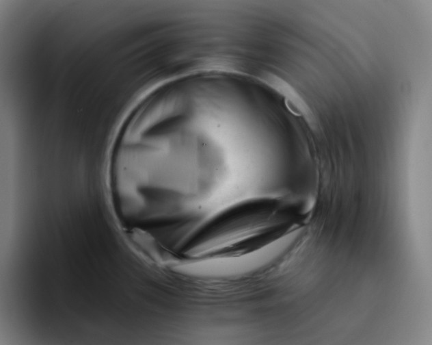 X0000094201339200711161800