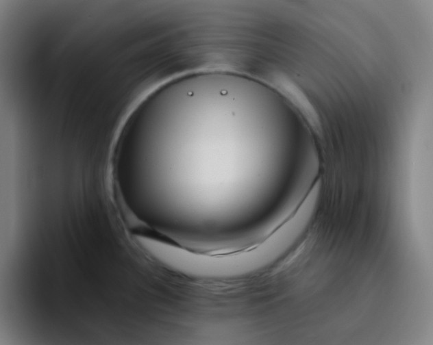 X0000094201340200711161800